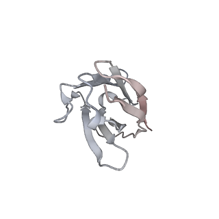 32078_7vq0_F_v1-0
Cryo-EM structure of the SARS-CoV-2 spike protein (2-up RBD) bound to neutralizing nanobodies P86