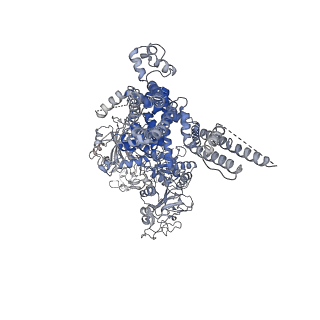 32082_7vq1_A_v1-0
Structure of Apo-hsTRPM2 channel