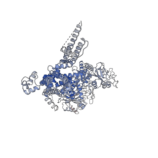 32082_7vq1_B_v1-0
Structure of Apo-hsTRPM2 channel