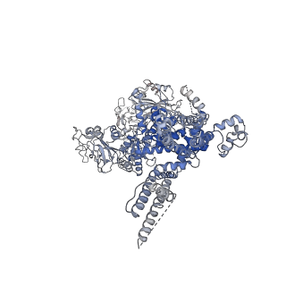 32082_7vq1_D_v1-0
Structure of Apo-hsTRPM2 channel