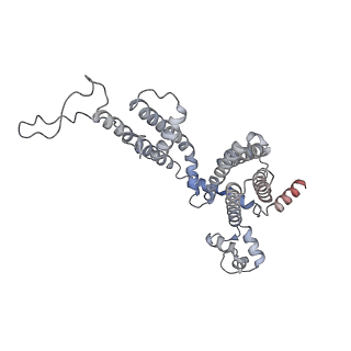 32083_7vq2_D_v1-0
Structure of Apo-hsTRPM2 channel TM domain