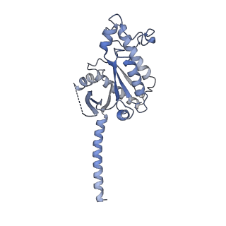 32095_7vqx_A_v1-0
Cryo-EM structure of human vasoactive intestinal polypeptide receptor 2 (VIP2R) in complex with PACAP27 and Gs