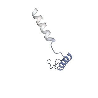 32095_7vqx_G_v1-0
Cryo-EM structure of human vasoactive intestinal polypeptide receptor 2 (VIP2R) in complex with PACAP27 and Gs