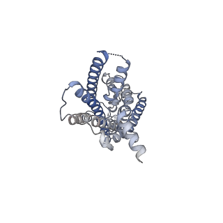 32095_7vqx_R_v1-0
Cryo-EM structure of human vasoactive intestinal polypeptide receptor 2 (VIP2R) in complex with PACAP27 and Gs