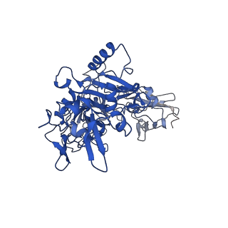 21365_6vra_B_v1-0
Anthrax octamer prechannel bound to full-length edema factor