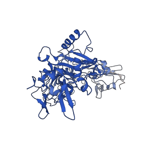 21365_6vra_B_v1-1
Anthrax octamer prechannel bound to full-length edema factor