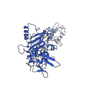 21365_6vra_C_v1-0
Anthrax octamer prechannel bound to full-length edema factor