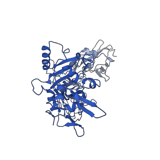 21365_6vra_C_v1-1
Anthrax octamer prechannel bound to full-length edema factor