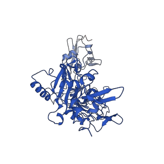 21365_6vra_D_v1-0
Anthrax octamer prechannel bound to full-length edema factor