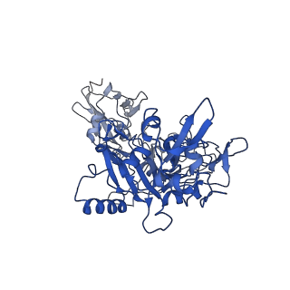21365_6vra_E_v1-0
Anthrax octamer prechannel bound to full-length edema factor