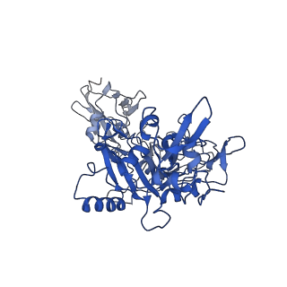 21365_6vra_E_v1-1
Anthrax octamer prechannel bound to full-length edema factor