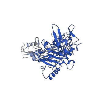 21365_6vra_F_v1-0
Anthrax octamer prechannel bound to full-length edema factor