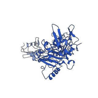 21365_6vra_F_v1-1
Anthrax octamer prechannel bound to full-length edema factor