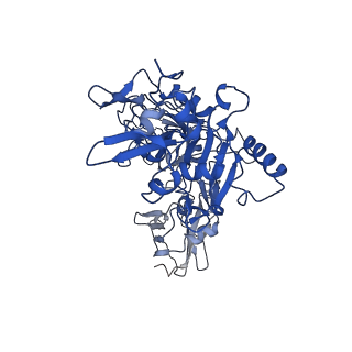 21365_6vra_H_v1-0
Anthrax octamer prechannel bound to full-length edema factor