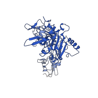 21365_6vra_H_v1-1
Anthrax octamer prechannel bound to full-length edema factor