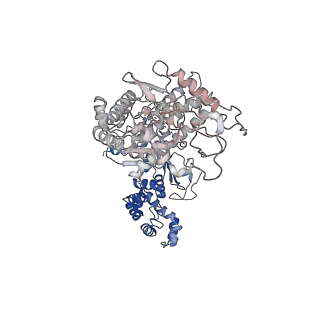 21365_6vra_I_v1-1
Anthrax octamer prechannel bound to full-length edema factor