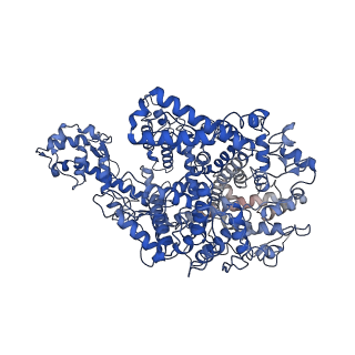 21366_6vrb_A_v1-1
Cryo-EM structure of AcrVIA1-Cas13(crRNA) complex