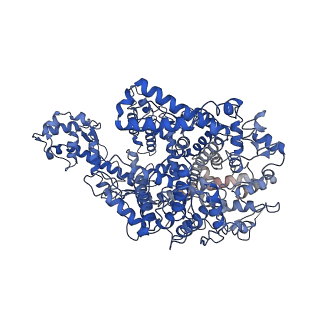 21366_6vrb_A_v1-2
Cryo-EM structure of AcrVIA1-Cas13(crRNA) complex