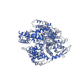 21367_6vrc_A_v1-1
Cryo-EM structure of Cas13(crRNA)