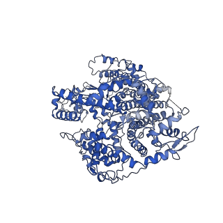 21367_6vrc_A_v1-2
Cryo-EM structure of Cas13(crRNA)