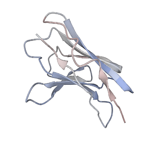 21368_6vrh_C_v1-2
Cryo-EM structure of the wild-type human serotonin transporter complexed with paroxetine and 8B6 Fab