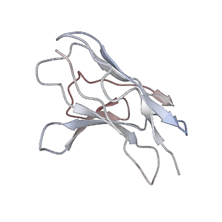 21370_6vrl_C_v1-2
Cryo-EM structure of the wild-type human serotonin transporter complexed with I-paroxetine and 8B6 Fab
