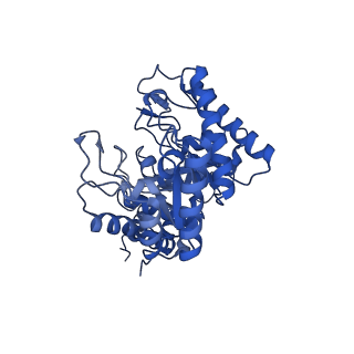 21371_6vrs_A_v1-1
Single particle reconstruction of glucose isomerase from Streptomyces rubiginosus based on data acquired in the presence of substantial aberrations
