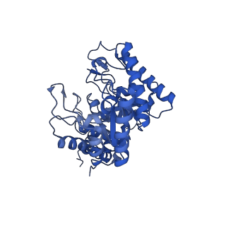 21371_6vrs_A_v1-2
Single particle reconstruction of glucose isomerase from Streptomyces rubiginosus based on data acquired in the presence of substantial aberrations