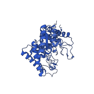 21371_6vrs_B_v1-1
Single particle reconstruction of glucose isomerase from Streptomyces rubiginosus based on data acquired in the presence of substantial aberrations
