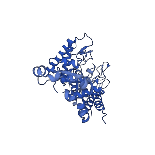 21371_6vrs_C_v1-1
Single particle reconstruction of glucose isomerase from Streptomyces rubiginosus based on data acquired in the presence of substantial aberrations