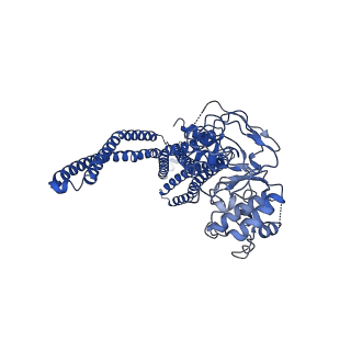32096_7vr1_A_v1-1
Cryo-EM structure of the ATP-binding cassette sub-family D member 1 from Homo sapiens