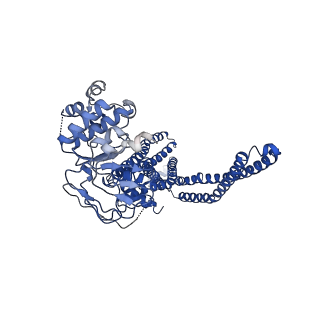 32096_7vr1_B_v1-1
Cryo-EM structure of the ATP-binding cassette sub-family D member 1 from Homo sapiens