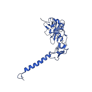 32100_7vrj_H_v1-1
STRUCTURE OF PHOTOSYNTHETIC LH1-RC SUPER-COMPLEX OF Allochromatium tepidum