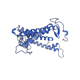 32100_7vrj_L_v1-1
STRUCTURE OF PHOTOSYNTHETIC LH1-RC SUPER-COMPLEX OF Allochromatium tepidum