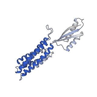 8728_5vrf_A_v1-4
CryoEM Structure of the Zinc Transporter YiiP from helical crystals