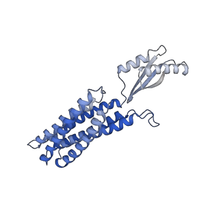 8728_5vrf_B_v1-5
CryoEM Structure of the Zinc Transporter YiiP from helical crystals