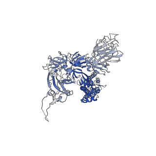 21375_6vsb_C_v1-4
Prefusion 2019-nCoV spike glycoprotein with a single receptor-binding domain up