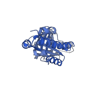 21376_6vsc_V_v1-2
Single particle reconstruction of HemQ from Geobacillus based on data acquired in the presence of substantial aberrations