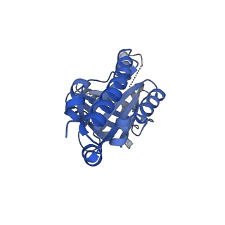 21376_6vsc_W_v1-2
Single particle reconstruction of HemQ from Geobacillus based on data acquired in the presence of substantial aberrations