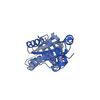 21376_6vsc_X_v1-2
Single particle reconstruction of HemQ from Geobacillus based on data acquired in the presence of substantial aberrations