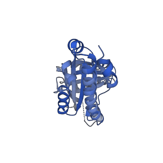 21376_6vsc_Z_v1-2
Single particle reconstruction of HemQ from Geobacillus based on data acquired in the presence of substantial aberrations