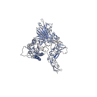 21377_6vsj_B_v1-3
Cryo-electron microscopy structure of mouse coronavirus spike protein complexed with its murine receptor