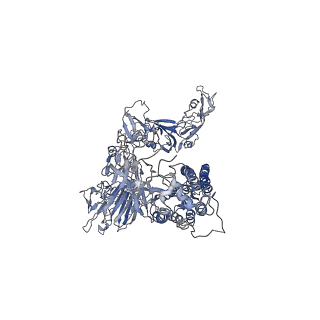 21377_6vsj_C_v1-3
Cryo-electron microscopy structure of mouse coronavirus spike protein complexed with its murine receptor