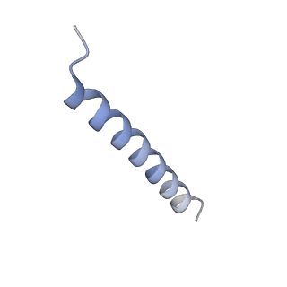 31558_7vsi_B_v1-2
Structure of human SGLT2-MAP17 complex bound with empagliflozin