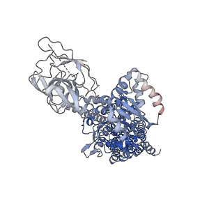 32110_7vsg_A_v1-1
Cryo-EM structure of a human ATP11C-CDC50A flippase reconstituted in the Nanodisc in PtdSer-occluded E2-Pi state.