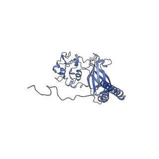 32110_7vsg_B_v1-1
Cryo-EM structure of a human ATP11C-CDC50A flippase reconstituted in the Nanodisc in PtdSer-occluded E2-Pi state.