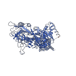 32111_7vsh_A_v1-1
Cryo-EM structure of a human ATP11C-CDC50A flippase reconstituted in the Nanodisc in E1P state.