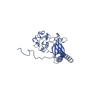 32111_7vsh_C_v1-1
Cryo-EM structure of a human ATP11C-CDC50A flippase reconstituted in the Nanodisc in E1P state.