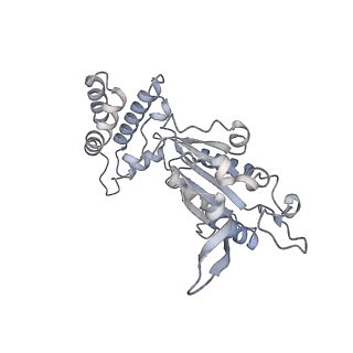32114_7vsr_B_v1-0
Structure of McrBC (stalkless mutant)