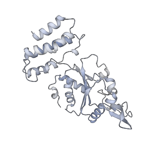 32114_7vsr_C_v1-0
Structure of McrBC (stalkless mutant)